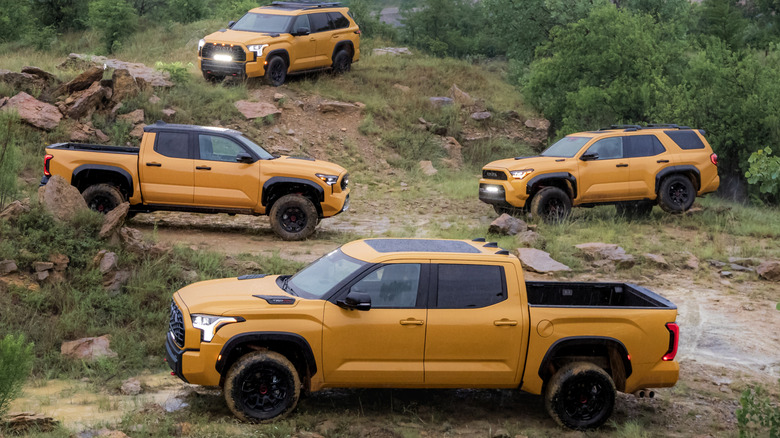 A wide shot of the whole TRD Pro family of trucks in their respective yellows parked on different levels of dirt off-road.
