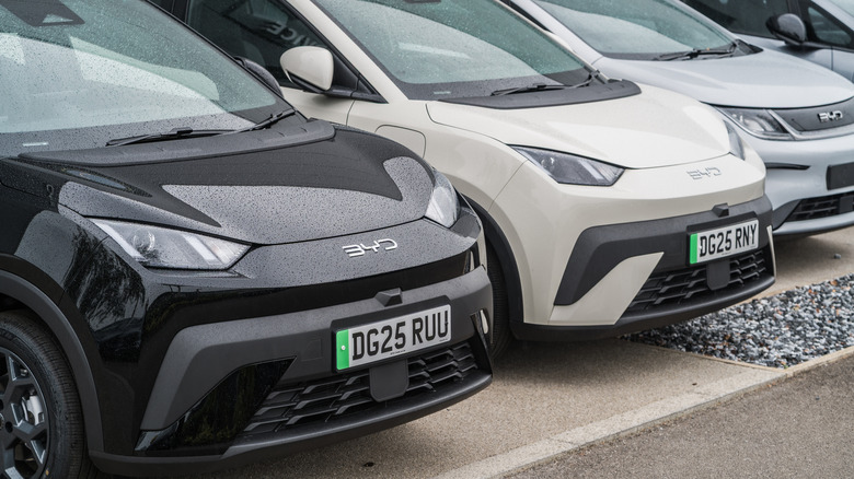 Close-up of two small BYD hatchbacks parked in a UK dealership lot